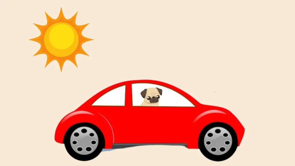 The Dangers of Leaving a Dog in a Hot Car