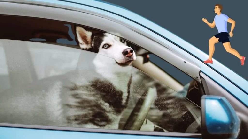 Situations Where Leaving a Dog in a Car Might Be Considered