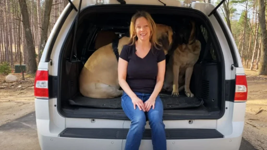 How to Keep Dogs Safe While Traveling