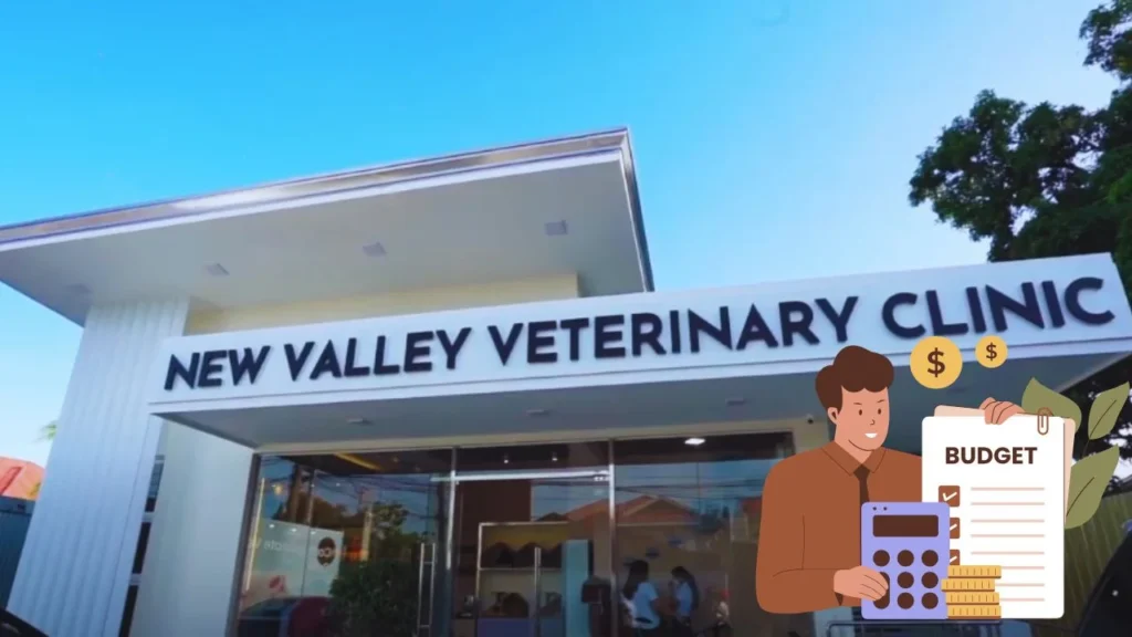 Explore Payment Plans at Local Vet Clinics