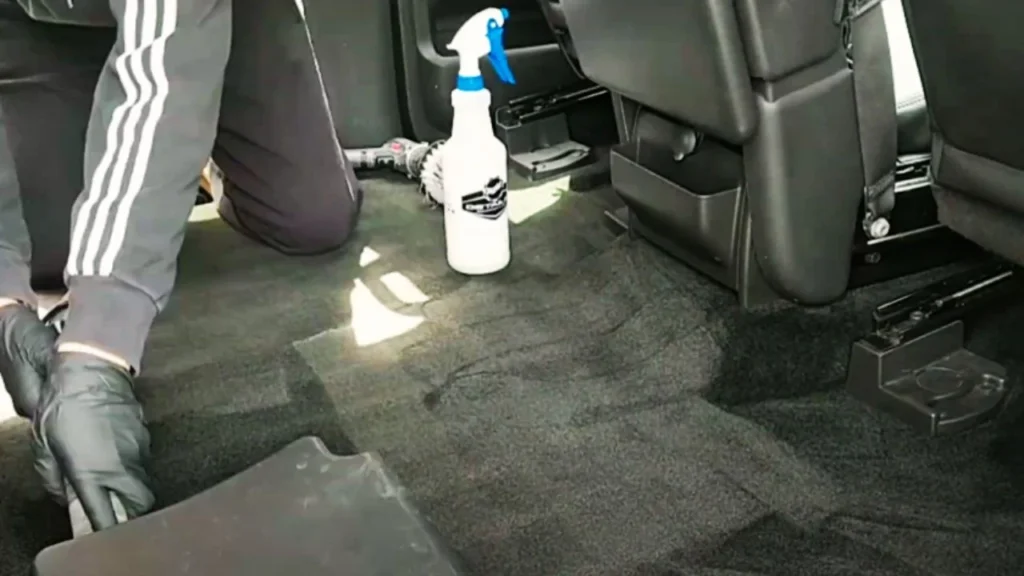 Can professional cleaning services remove dog odors from a car?