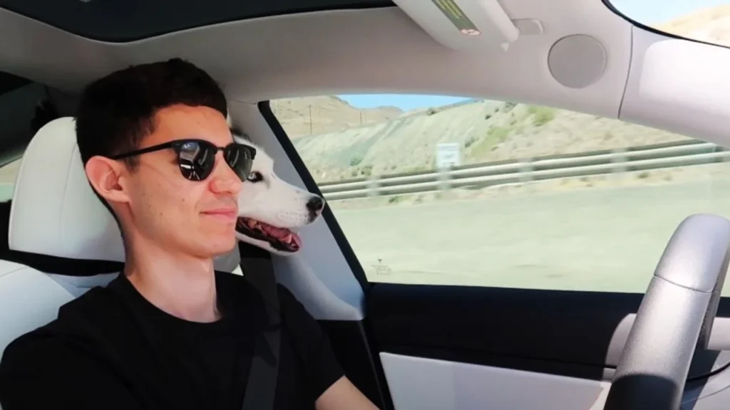 Comfort Tips for Your Dog: How to Travel with a Dog in a Car