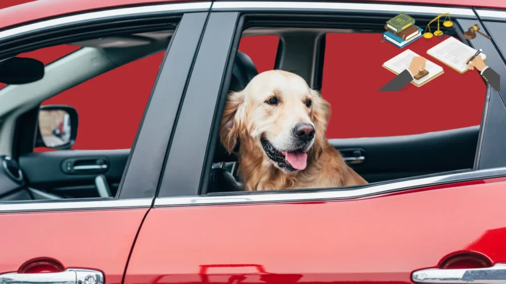 Legal Implications of Leaving Dogs in Cars