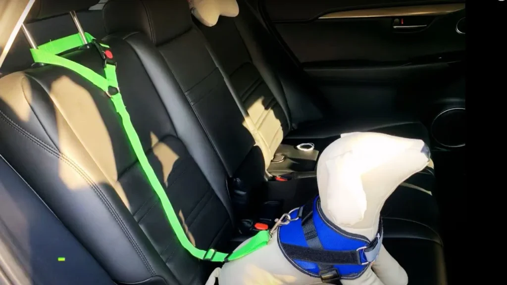 Connecting Leash to Headrest