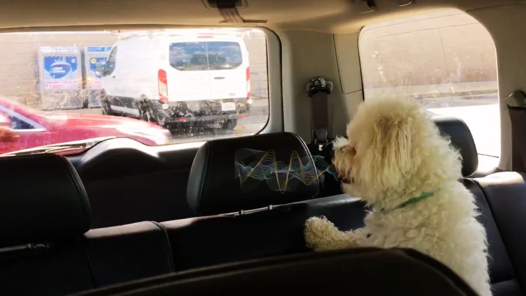 Could feeding schedules impact a dog’s barking behavior in the car?