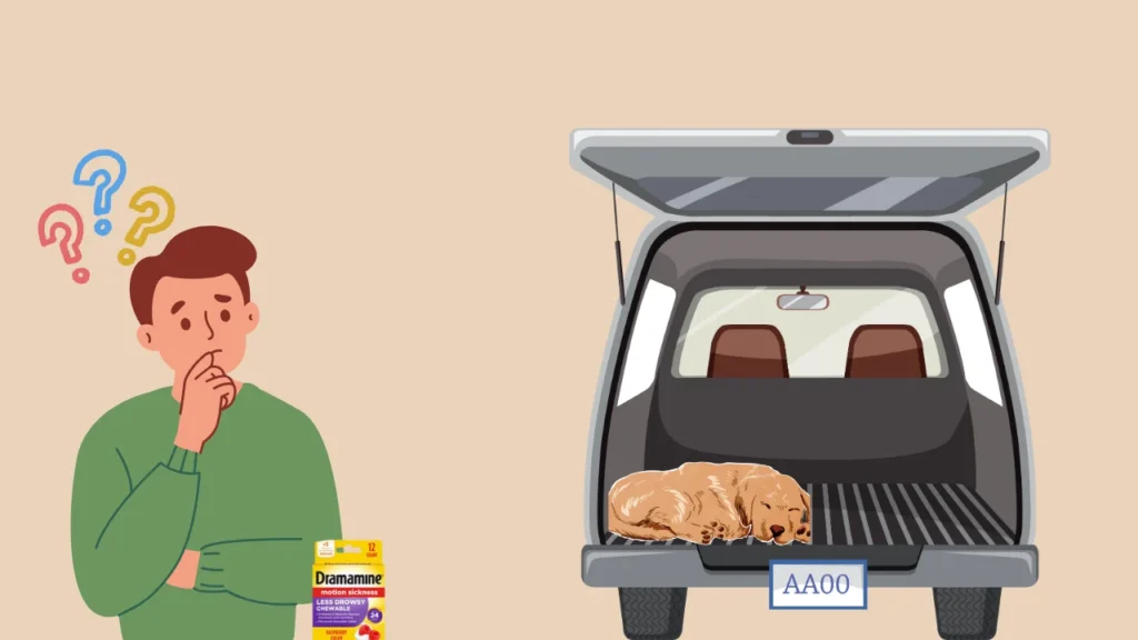 Can Dogs Take Dramamine for Car Sickness