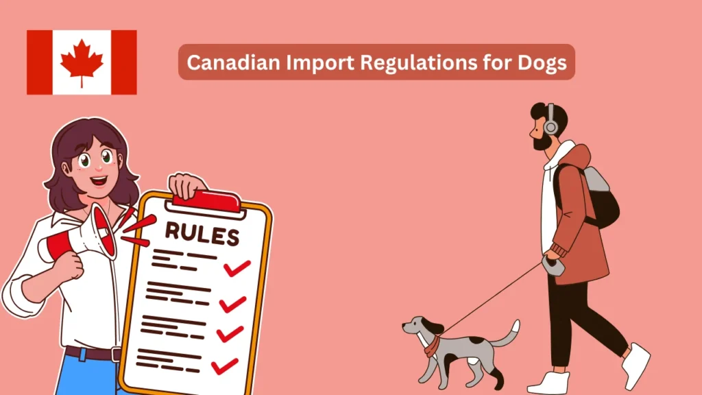 Canadian Import Regulations for Dogs