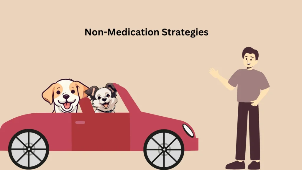 Non-Medication Strategies for Car Sickness in Dogs