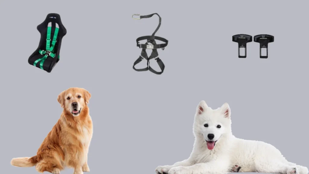 Types of Dog Seat Belts