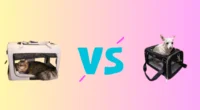 Cat Carrier vs Dog Carrier