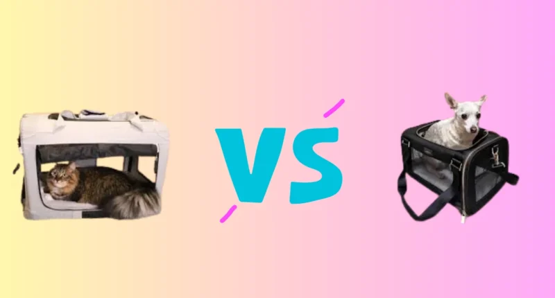 Cat Carrier vs Dog Carrier