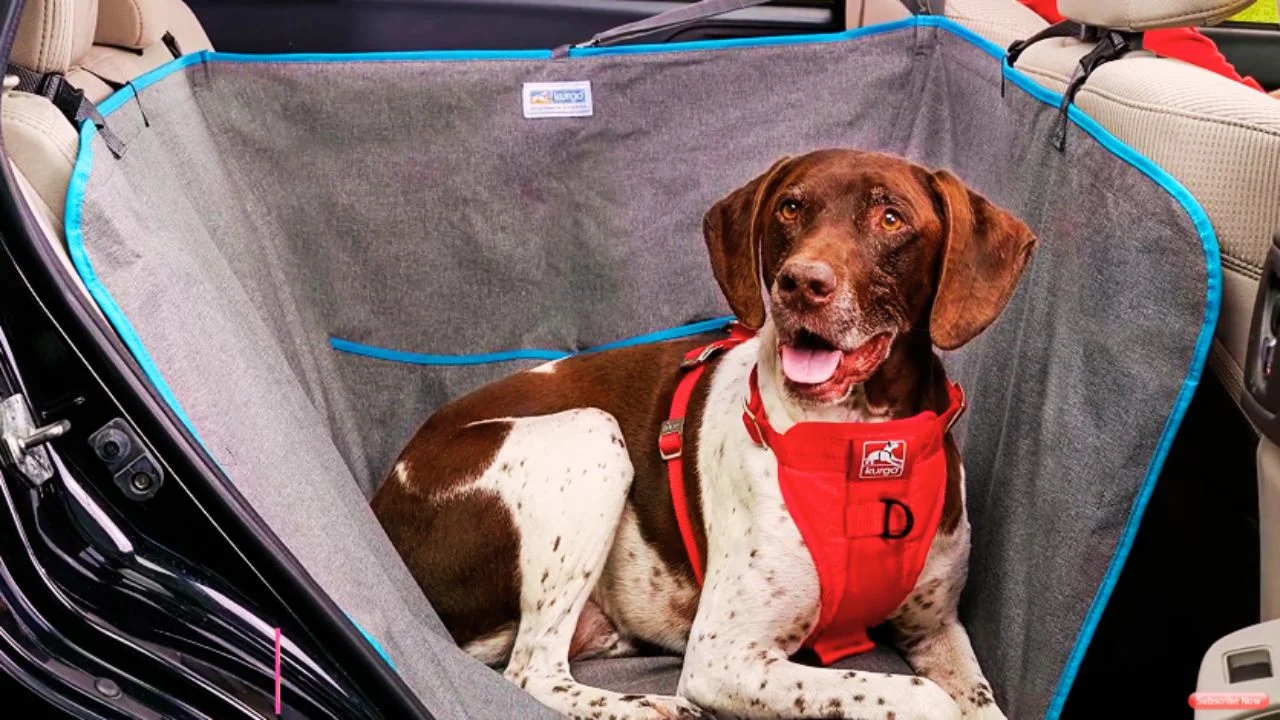 Car Hammock prevent your dog from slipping
